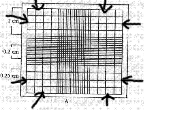 血球计数板细胞计数法