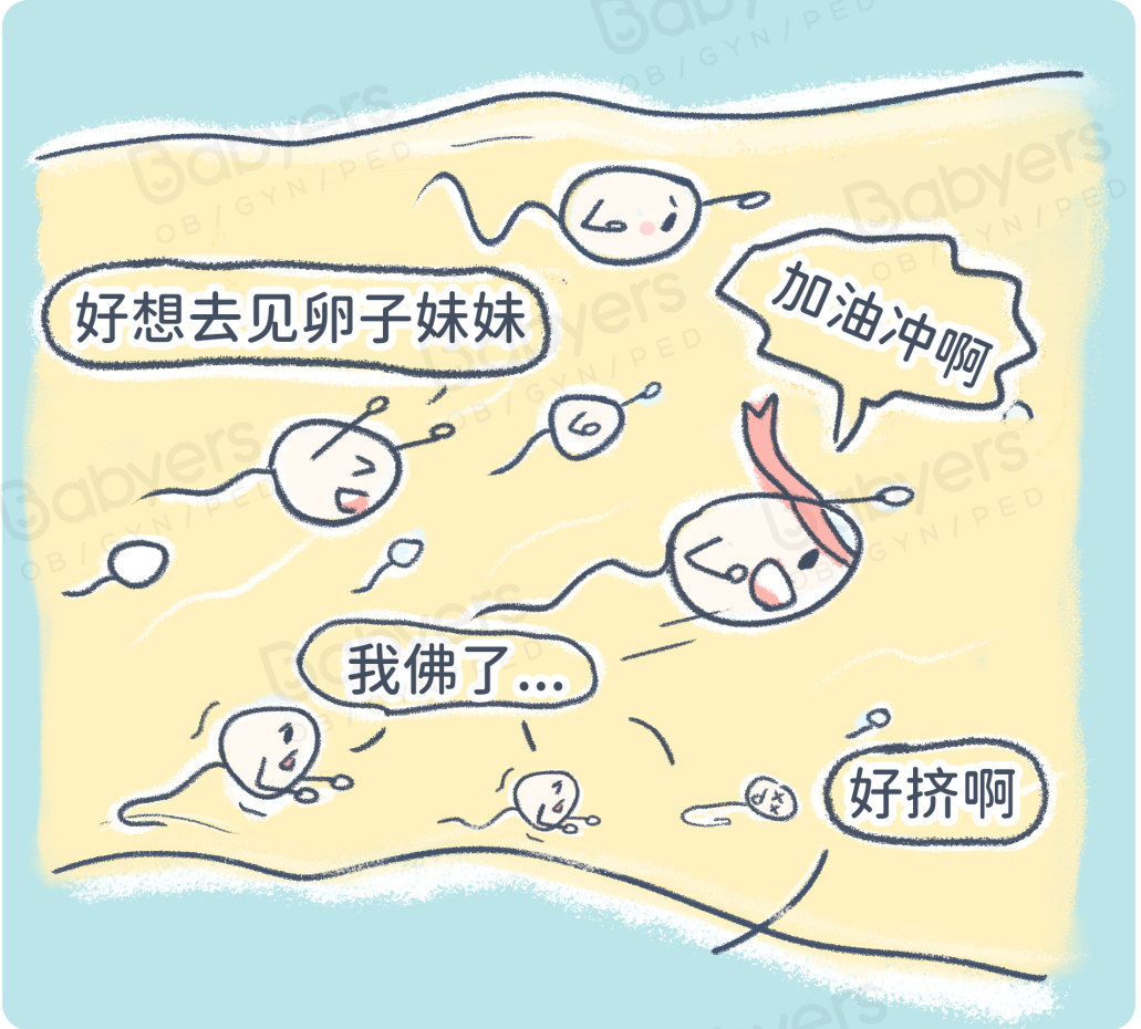 8 个男友「精子」的真相，每个姑娘都该知道！