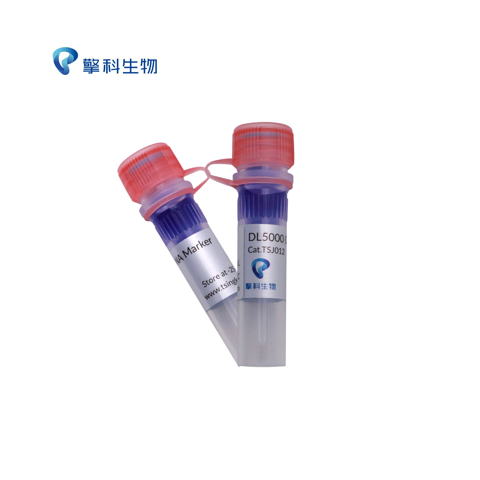 DL5000 DNA Marker/核酸电泳系列试剂/独特研发技术，不降解/擎科生物TSINGKE