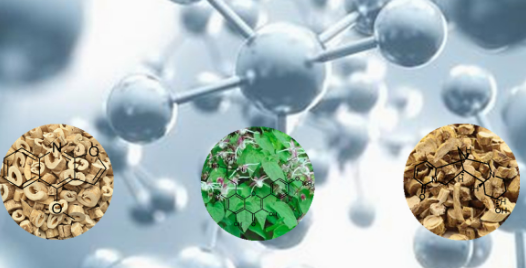 详细论述中药四个层次的标准