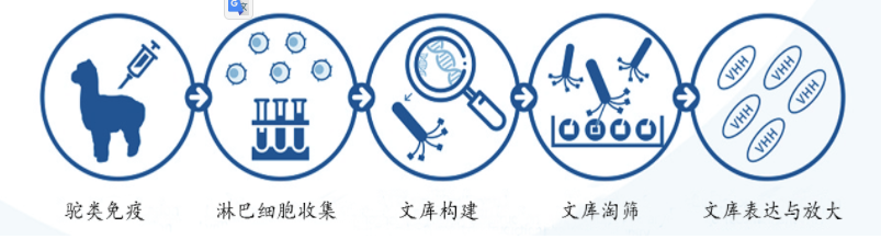 产品细节图片3