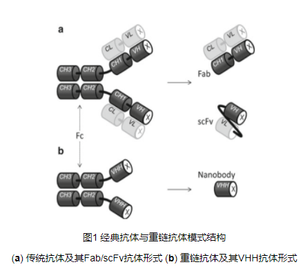 产品细节图片1