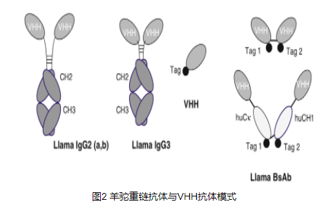 产品细节图片2