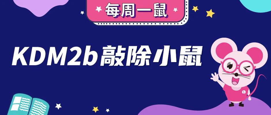 「每周一鼠」表观遗传巨星——KDM2b