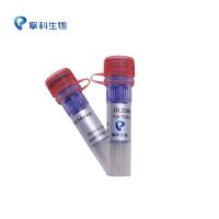 DL2000 DNA Marker/独特研发技术，不降解/核酸电泳系列试剂/擎科生物TSINGKE