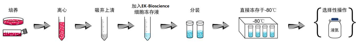 无血清细胞冻存液