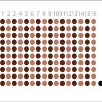 前列腺癌组织芯片 PRC1601