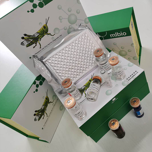 人磷酸化细胞外信号调节激酶(pERK)ELISA试剂盒