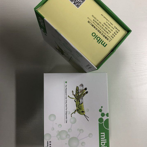 人网膜素(omentin)ELISA试剂盒