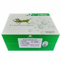 人角化细胞内分泌因子(KAF)-双调蛋白(AR)ELISA试剂盒