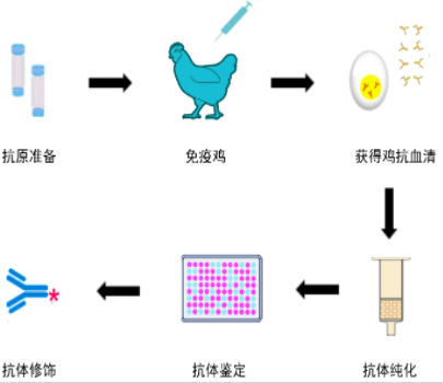 产品细节图片1