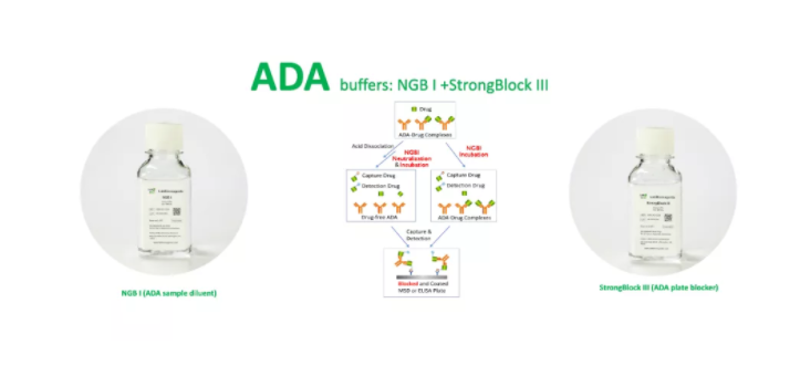 高灵敏度buffer助力抗药物抗体ADA检测