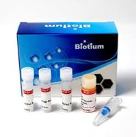 热启动聚合酶修饰试剂盒Biotium 29054-T