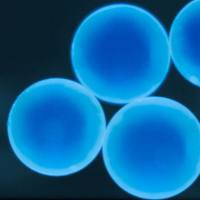 德国AM标准粒子产品追溯SI国际单位制/NIST以及各国标准物质