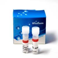 ViaFluor™ 488-SE 生物素细胞增殖试剂盒 30086-T