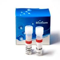 ViaFluor™ 405-SE 生物素细胞增殖试剂盒 30068-T