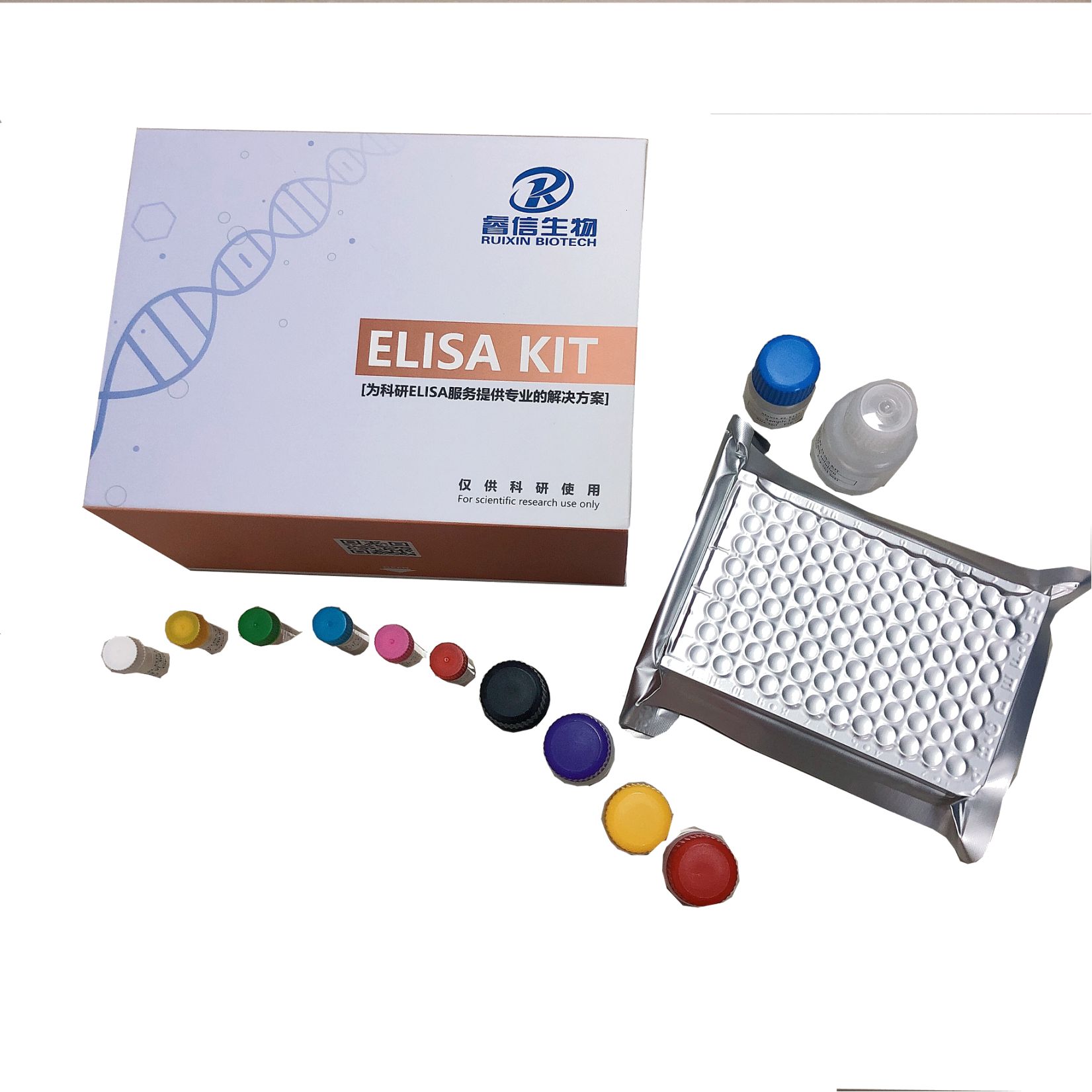 人烯酰-CoA水合酶（ECHY）ELISA试剂盒