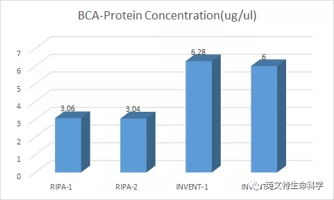 Invent 柱式法蛋白提取技术到底好不好用?看看小伙伴怎么说!