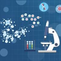 乳酸菌基因编辑