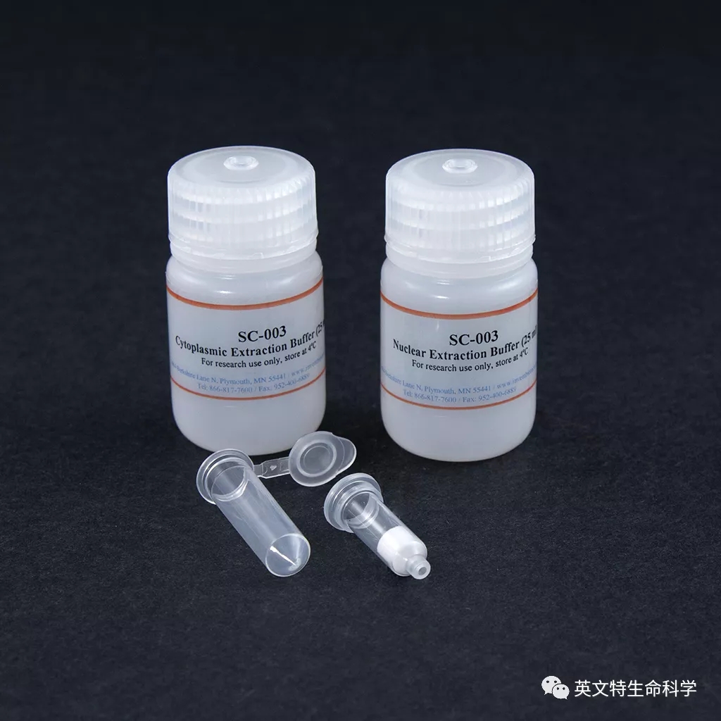 Invent 柱式法蛋白提取技术到底好不好用?看看小伙伴怎么说!