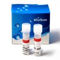 ViaFluor™ 488-SE 生物素细胞增殖试剂盒 30086