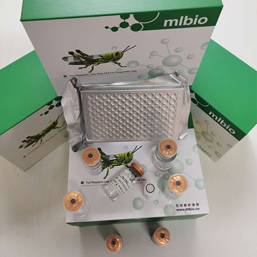 小鼠髓过氧化物酶(MPO)ELISA试剂盒