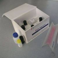 通用型抗体稀释液