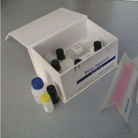 ECL超敏化学发光试剂盒-即用型