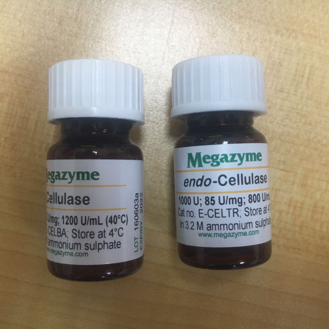 megazyme 抗性淀粉检测试剂盒