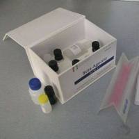 蛋白印迹膜再生液（抗体去除液）