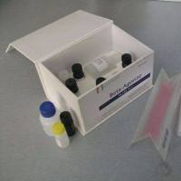 蛋白印迹膜再生液（抗体去除液）