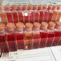 大鼠脑膜细胞/免疫荧光鉴定/镜像绮点（Cellverse）