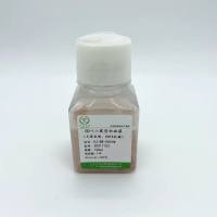 CD-1小鼠空白血浆