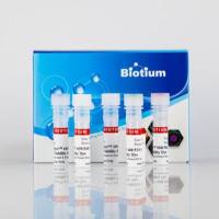 Live-or-Dye™ Fixable Viability Staining Kits Biotium 32016 32016