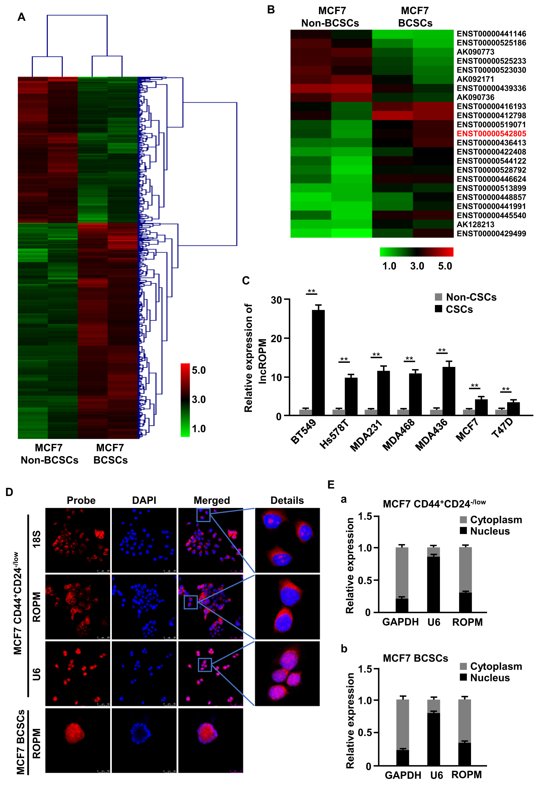 lncRNA新研究进展盘点（20211112）