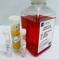 内皮细胞培养基/细胞完全培养基/1640基础培养基