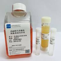 iCell原代骨骼肌细胞培养体系/原代成纤维细胞培养体系