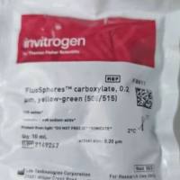 绿色荧光微球(505 515)