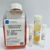 iCell原代星形胶质细胞培养体系/镜像绮点生物