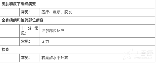图片预览