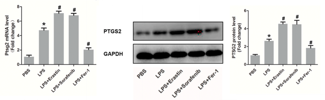 技术资料图片11