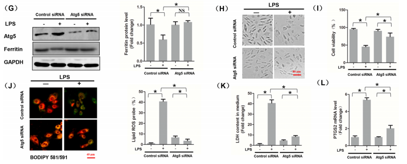 技术资料图片21