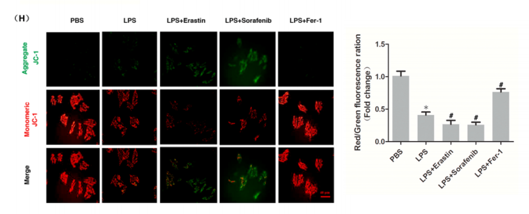 技术资料图片14