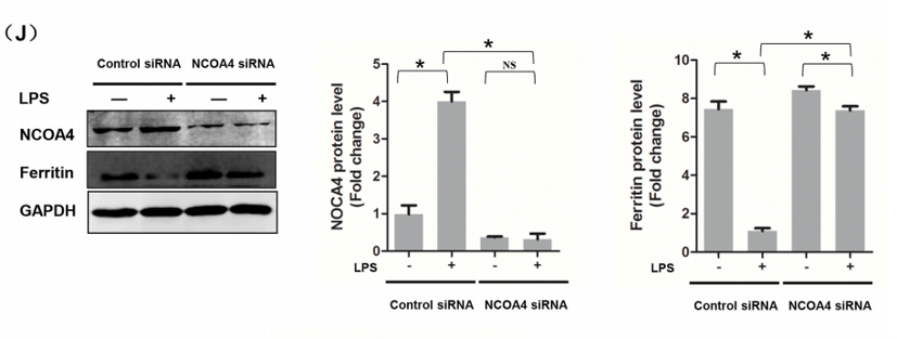 技术资料图片18