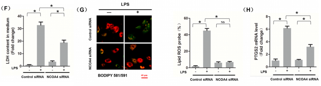 技术资料图片19