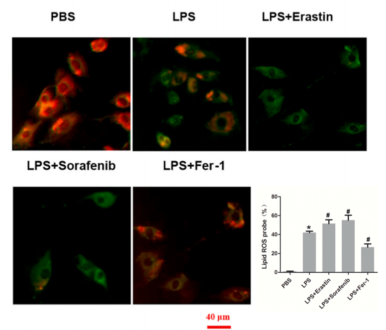 技术资料图片13