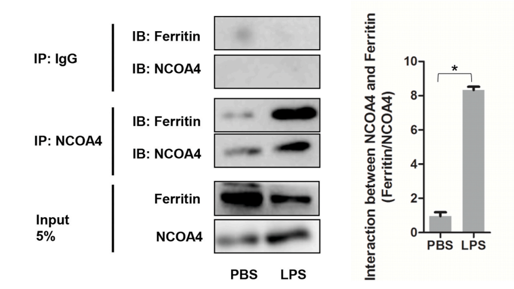 技术资料图片22