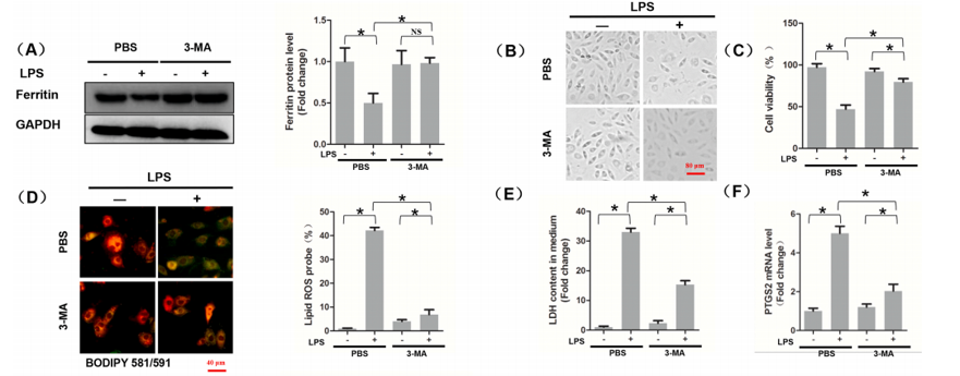 技术资料图片20