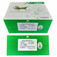 大鼠复合前列腺特异性抗原(CPSA)ELISA试剂盒