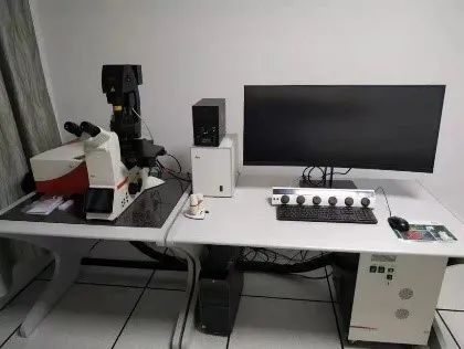 上海市同仁医院虹桥医学研究院又建科研服务新平台,斑马鱼模式生物助你再上新台阶